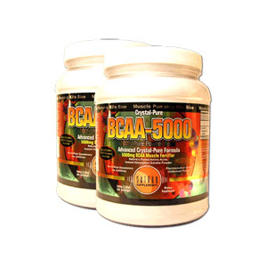 SATURN�@�T�^�[�� BCAA �����@500��