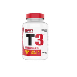 SAN�@�T�� T-3 90�J�v�Z��