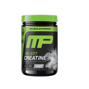 MUSCLE PHARM �}�b�X���t�@�[�� Select Creatine �Z���N�g�N���A�`�� 300�O����/60��